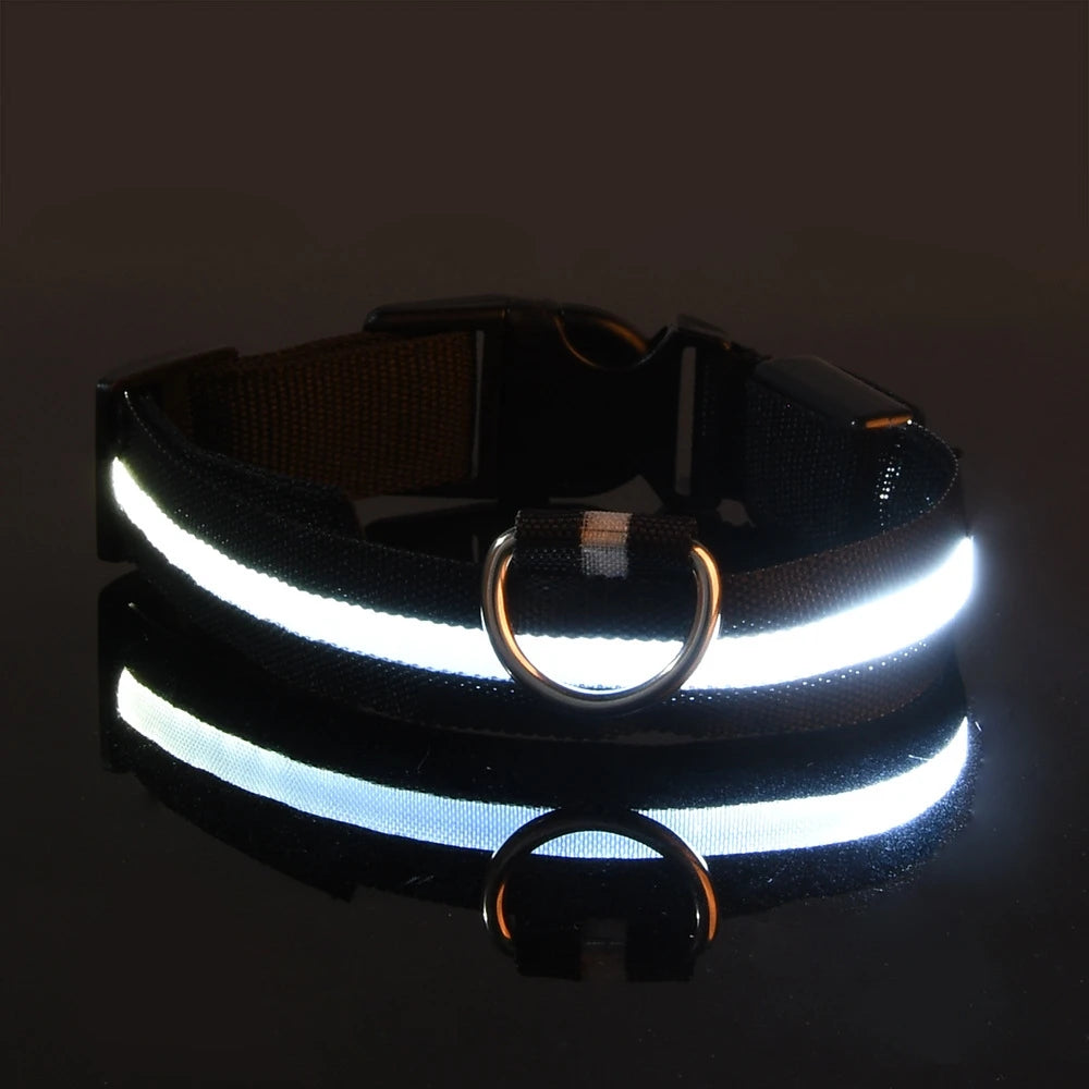 LED Light Up Dog Leash Nylon – Glow in the Dark Reflective Safety Pet Leash for Night Walking (All Sizes)