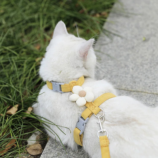 Adjustable Cat & Small Dog Harness and Leash Set – Breathable No-Pull Pet Harness for Walking