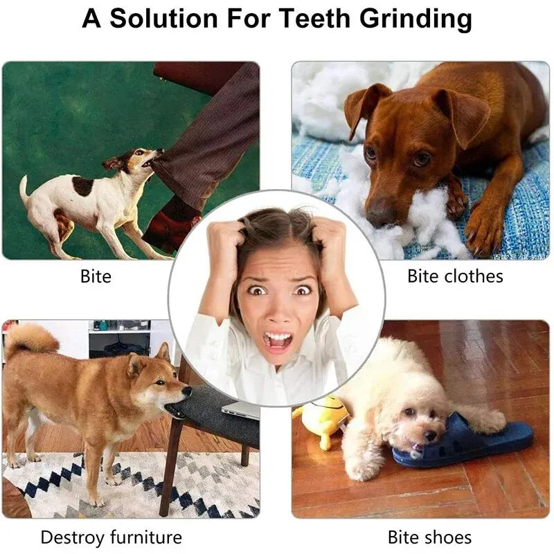 Interactive Dog Treat Ball – Bite Resistant Chew Toy & Food Dispenser for Dogs & Puppies