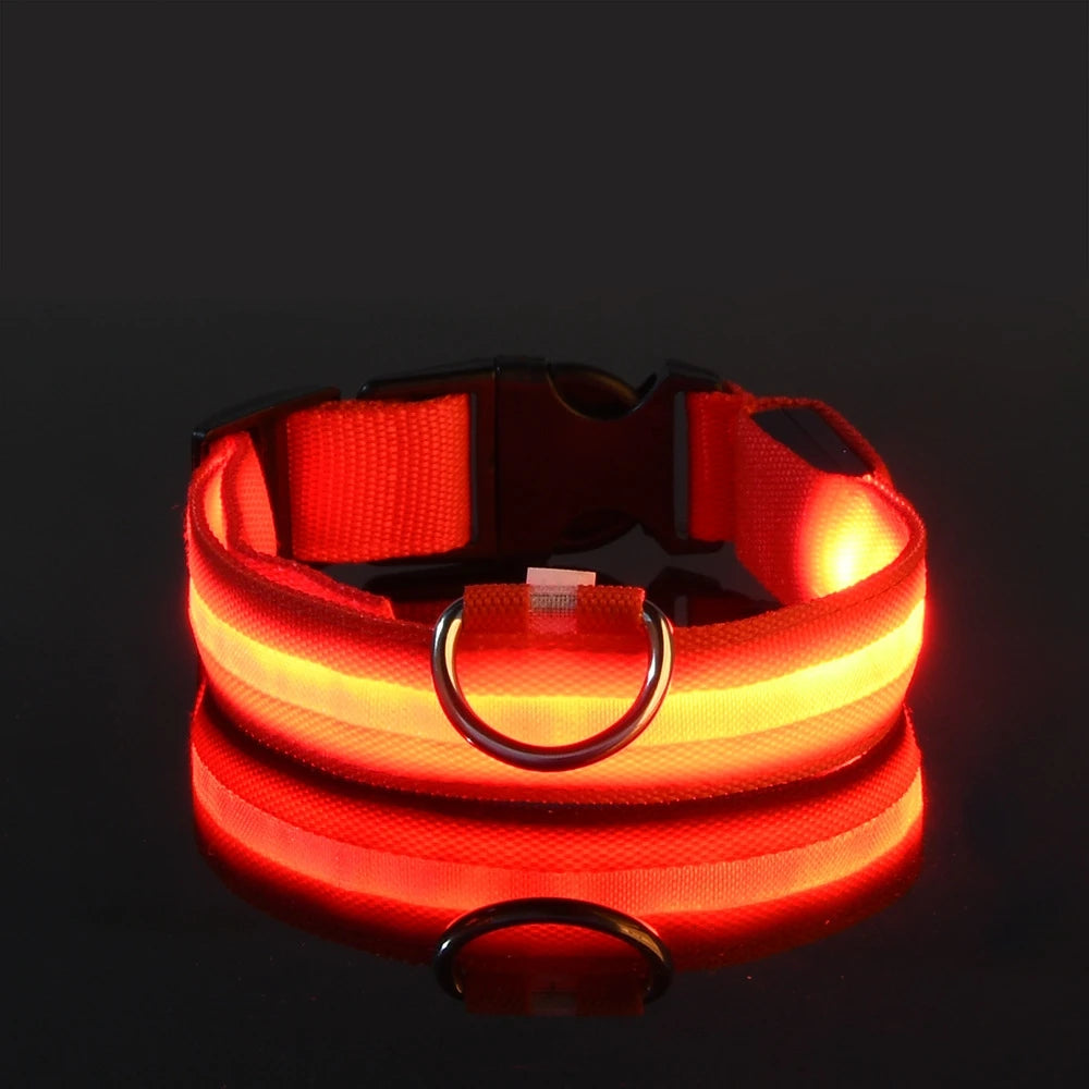 LED Light Up Dog Leash Nylon – Glow in the Dark Reflective Safety Pet Leash for Night Walking (All Sizes)