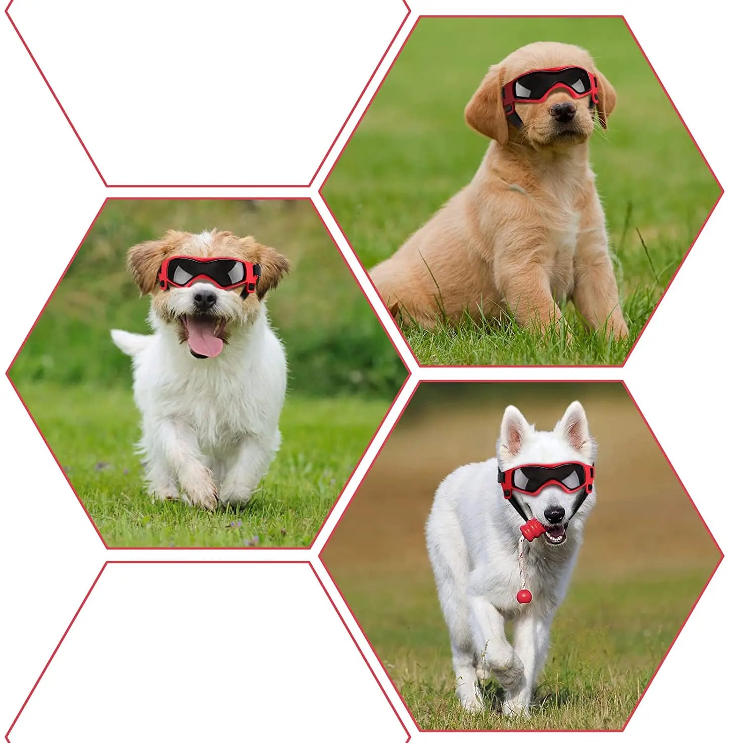Dog & Cat Sunglasses – UV Protection Goggles for Outdoor Fun