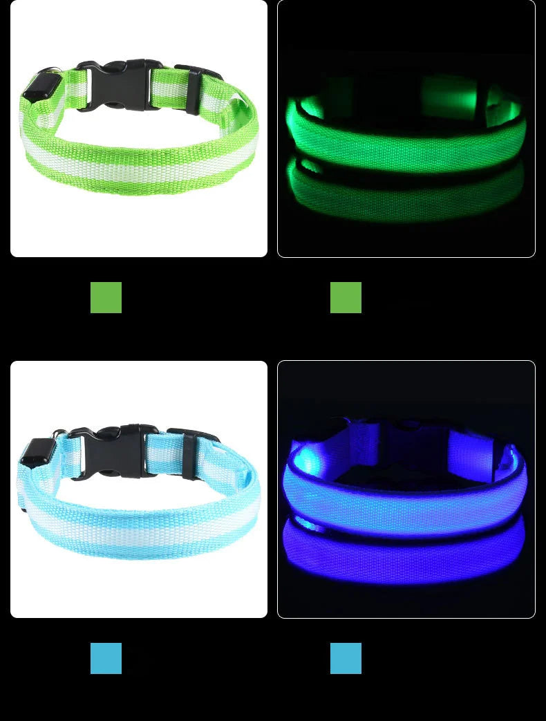 LED Light Up Dog Leash Nylon – Glow in the Dark Reflective Safety Pet Leash for Night Walking (All Sizes)