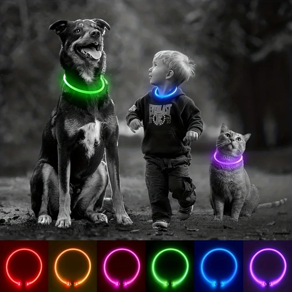 USB Rechargeable LED Dog Collar – Night Safety, Luminous & Anti-Lost Pet Necklace