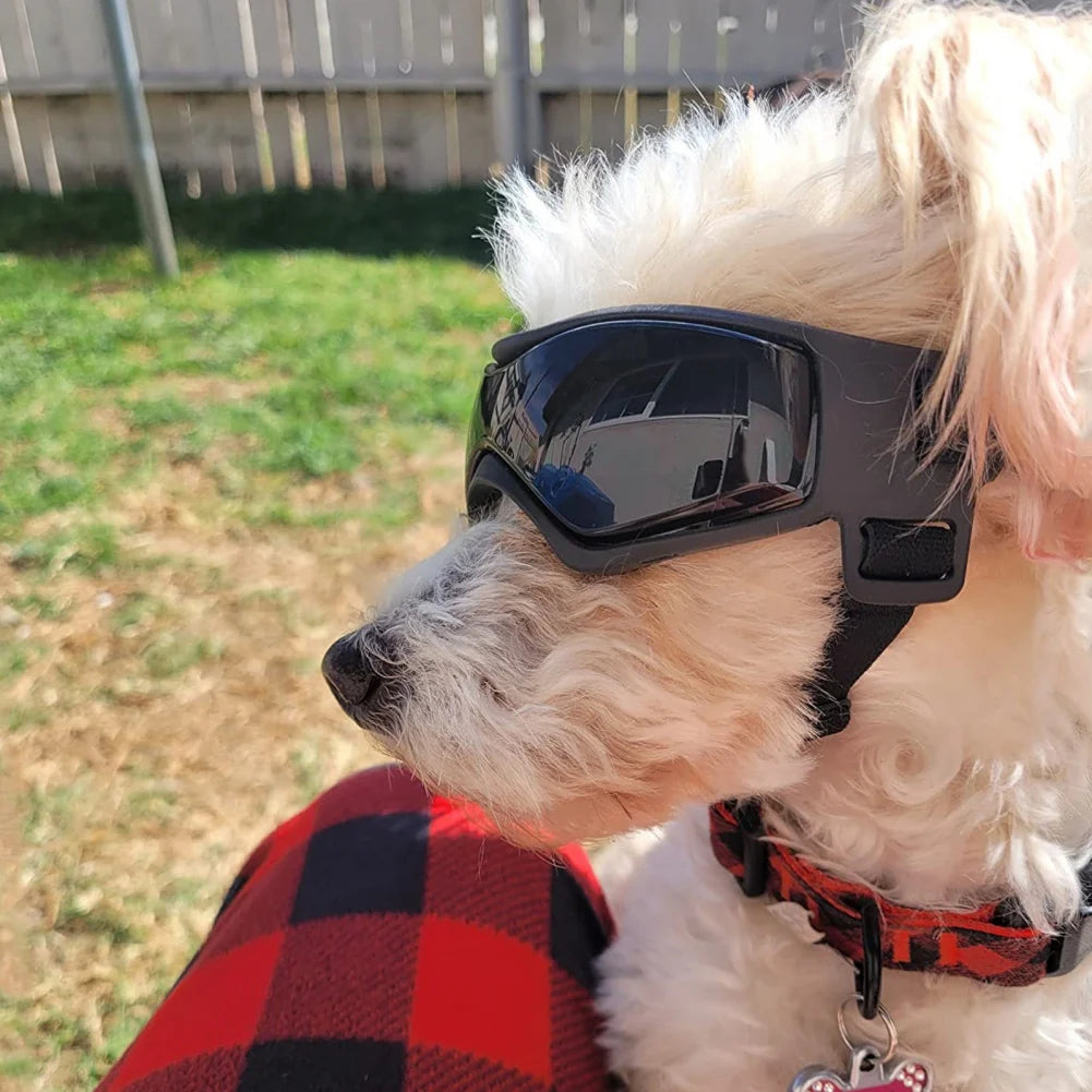 Dog & Cat Sunglasses – UV Protection Goggles for Outdoor Fun