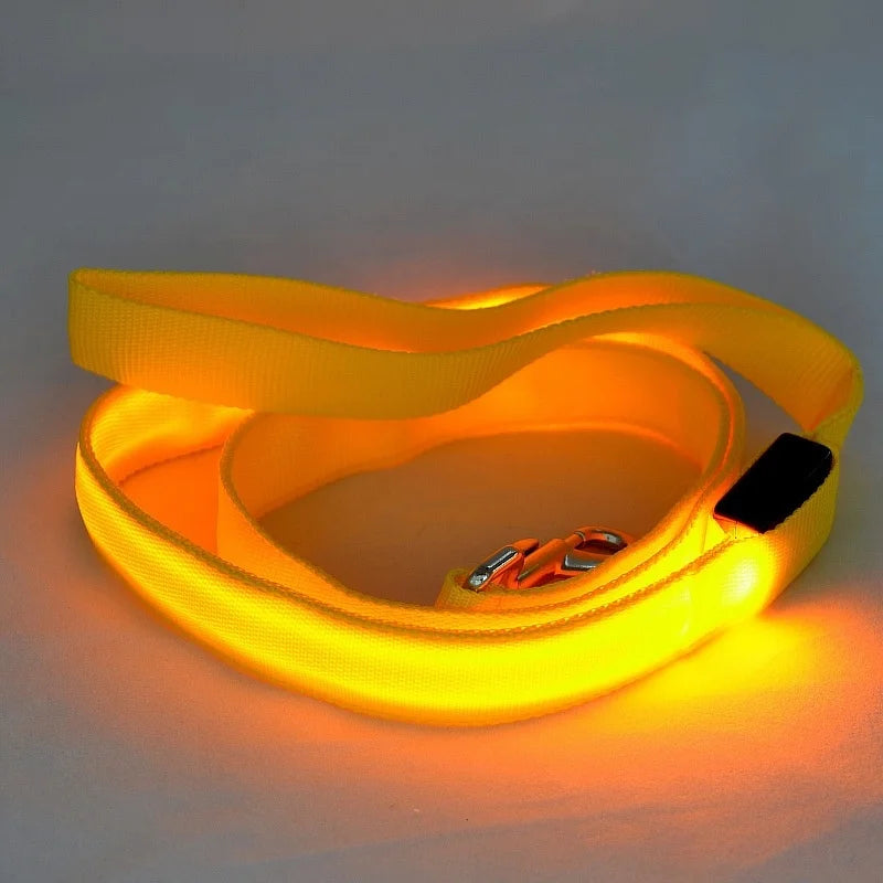 LED Dog Leash – Glowing Safety Leash for Night Walking