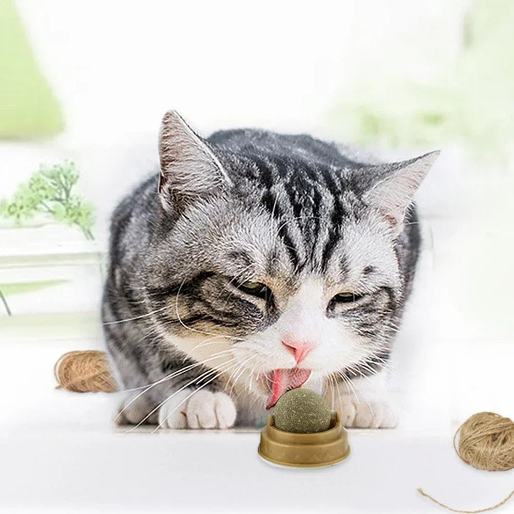 Rotating Catnip Ball Toys for Cats (1–10 Pack) – Edible Natural Cat Mint, Teeth Cleaning & Interactive Chasing Toy