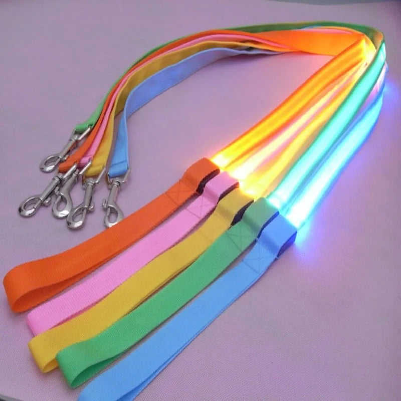 LED Dog Leash – Glowing Safety Leash for Night Walking
