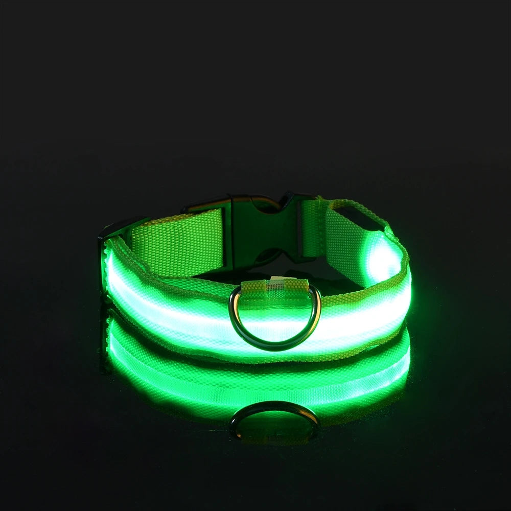 LED Light Up Dog Leash Nylon – Glow in the Dark Reflective Safety Pet Leash for Night Walking (All Sizes)