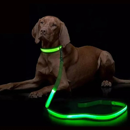 LED Dog Leash – Glowing Safety Leash for Night Walking
