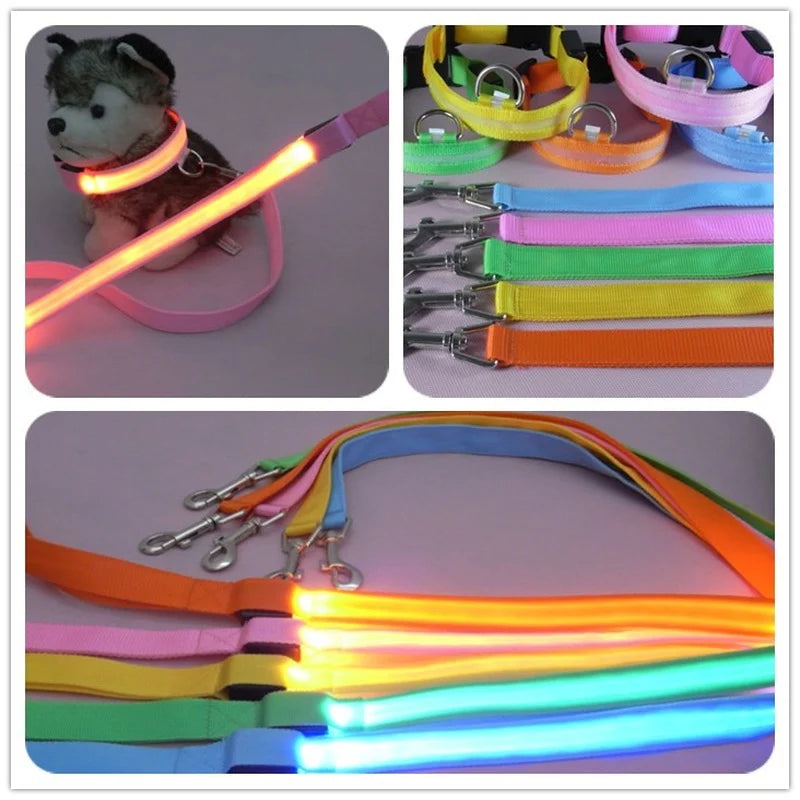 LED Dog Leash – Glowing Safety Leash for Night Walking