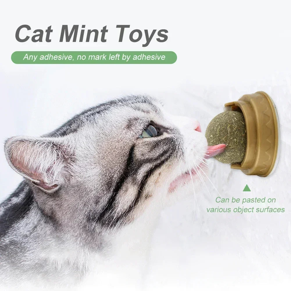 Rotating Catnip Ball Toys for Cats (1–10 Pack) – Edible Natural Cat Mint, Teeth Cleaning & Interactive Chasing Toy