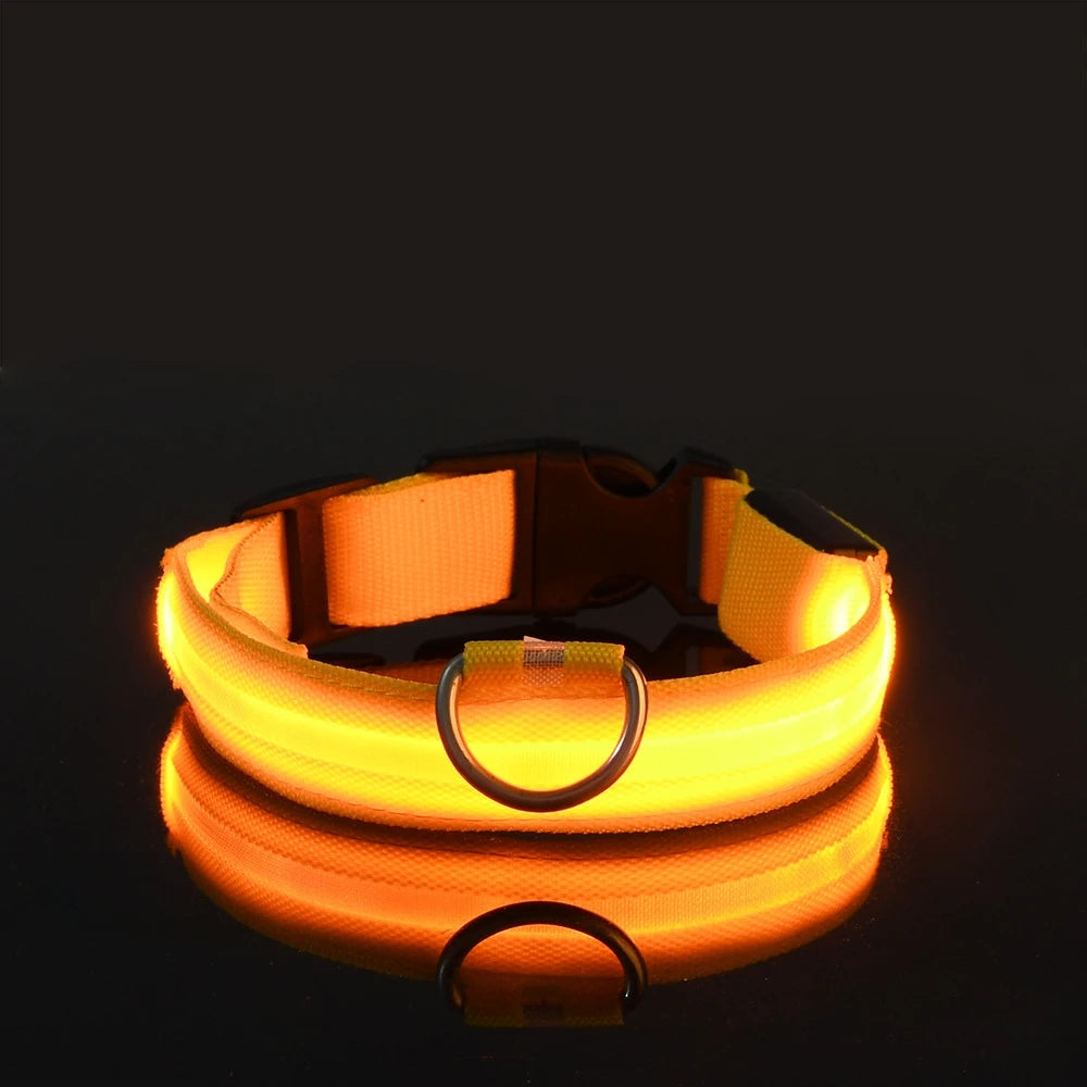 LED Light Up Dog Leash Nylon – Glow in the Dark Reflective Safety Pet Leash for Night Walking (All Sizes)