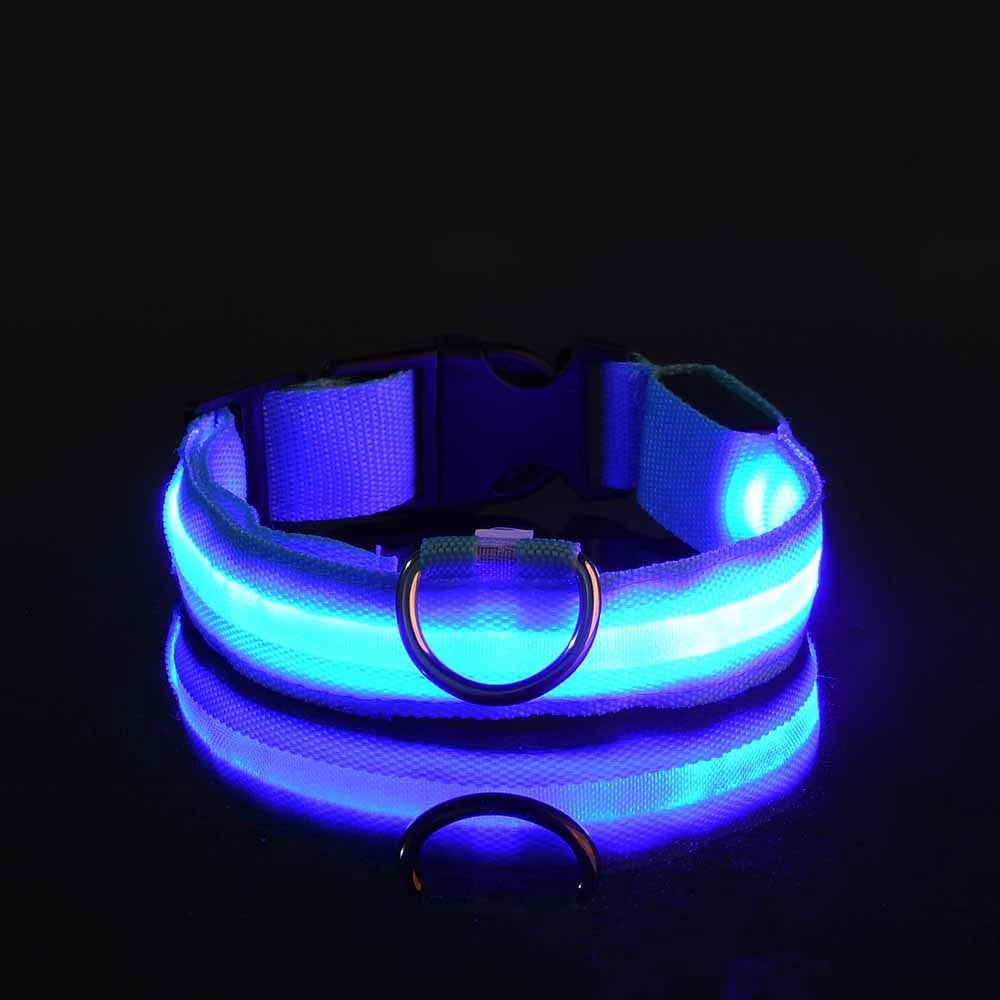 LED Light Up Dog Leash Nylon – Glow in the Dark Reflective Safety Pet Leash for Night Walking (All Sizes)