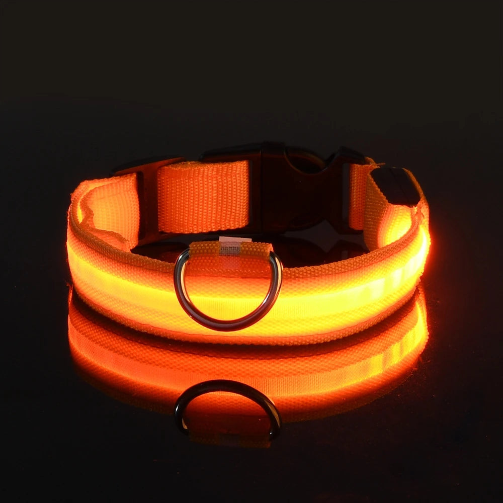 LED Light Up Dog Leash Nylon – Glow in the Dark Reflective Safety Pet Leash for Night Walking (All Sizes)
