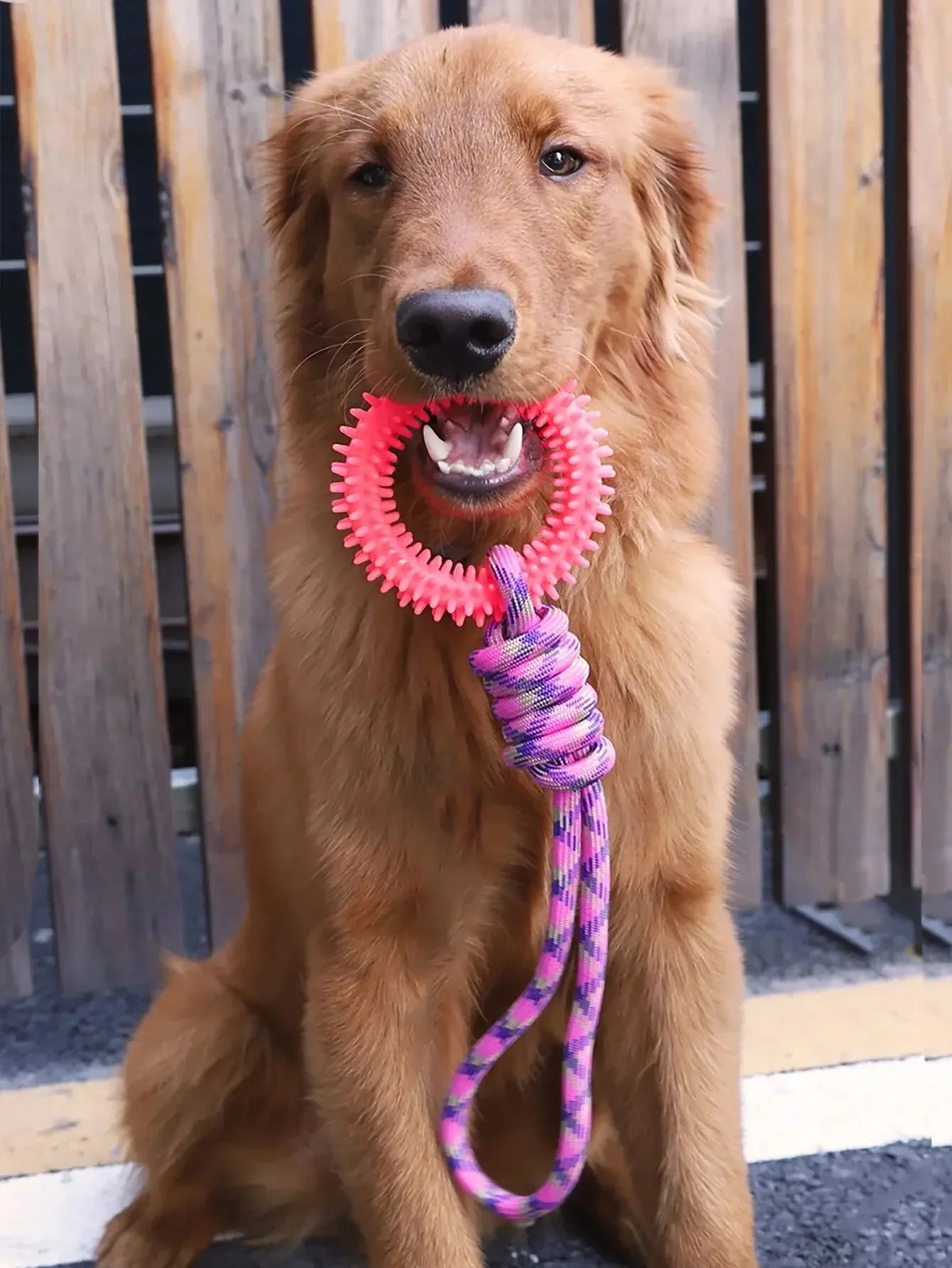 Durable Chew-Resistant Dog Rope Toy – Interactive Colorful Knot Rubber Tug Toy for Dogs