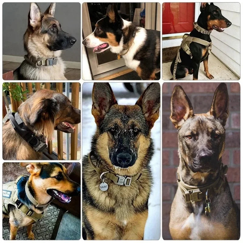 Tactical Dog Collar for Large Dogs – Heavy Duty Adjustable Training Collar with Quick Release Buckle (Medium & Large Breeds)