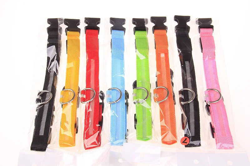 LED Light Up Dog Leash Nylon – Glow in the Dark Reflective Safety Pet Leash for Night Walking (All Sizes)