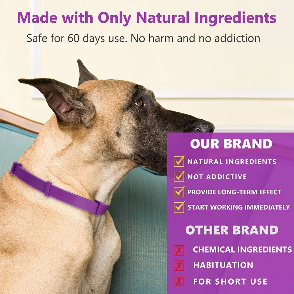 Natural Calming Collar for Cats & Dogs – Long Lasting Anti-Anxiety Solution