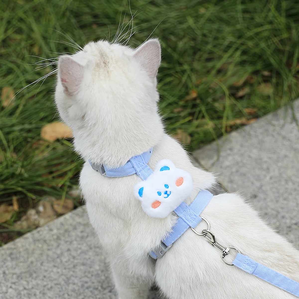 Adjustable Cat & Small Dog Harness and Leash Set – Breathable No-Pull Pet Harness for Walking