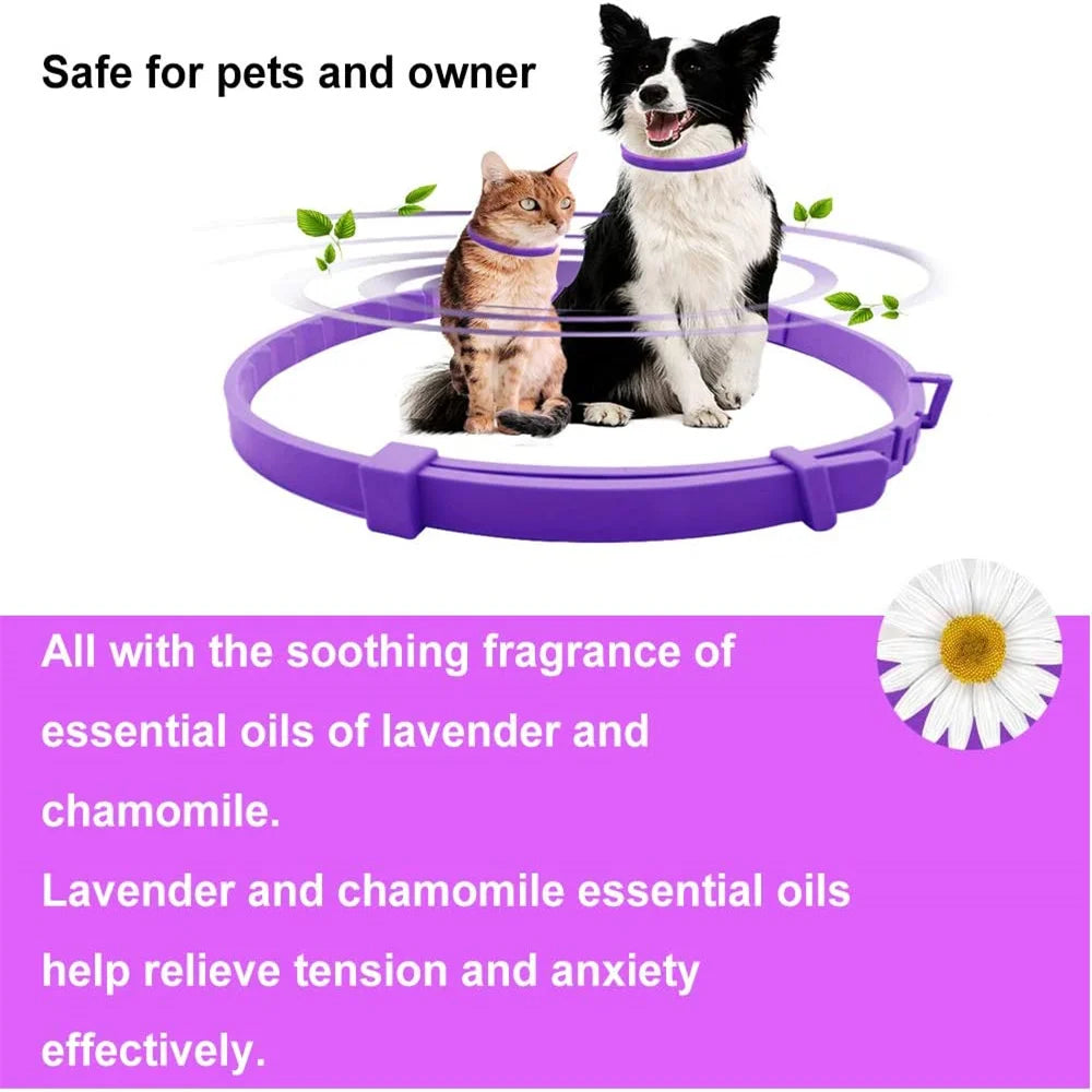 Natural Calming Collar for Cats & Dogs – Long Lasting Anti-Anxiety Solution