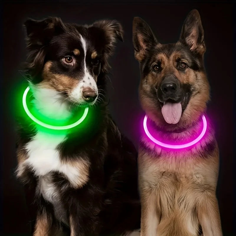 USB Rechargeable LED Dog Collar – Night Safety, Luminous & Anti-Lost Pet Necklace