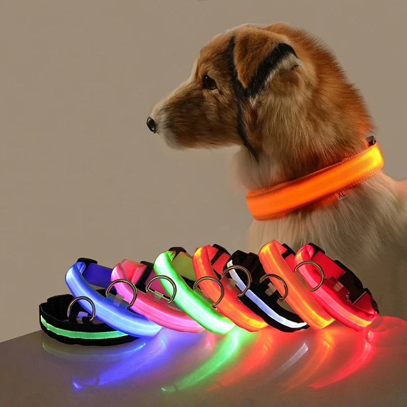 LED Light Up Dog Leash Nylon – Glow in the Dark Reflective Safety Pet Leash for Night Walking (All Sizes)