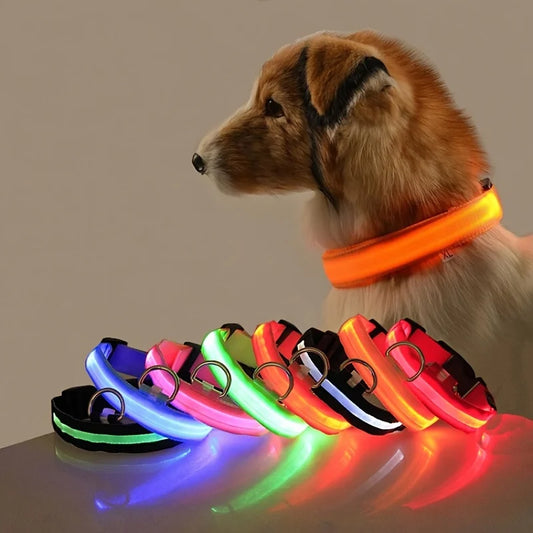 LED Light Up Dog Leash Nylon – Glow in the Dark Reflective Safety Pet Leash for Night Walking (All Sizes)