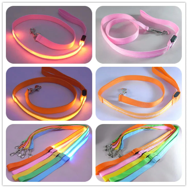 LED Dog Leash – Glowing Safety Leash for Night Walking