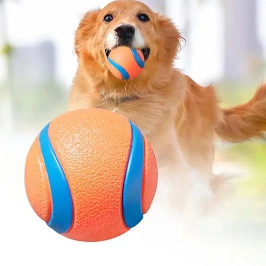 Dog Fetch Ball Toy – Durable Rubber Chew Ball for Small, Medium & Large Dogs