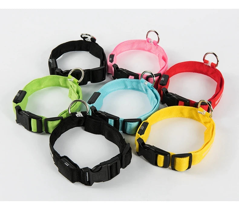 LED Light Up Dog Leash Nylon – Glow in the Dark Reflective Safety Pet Leash for Night Walking (All Sizes)