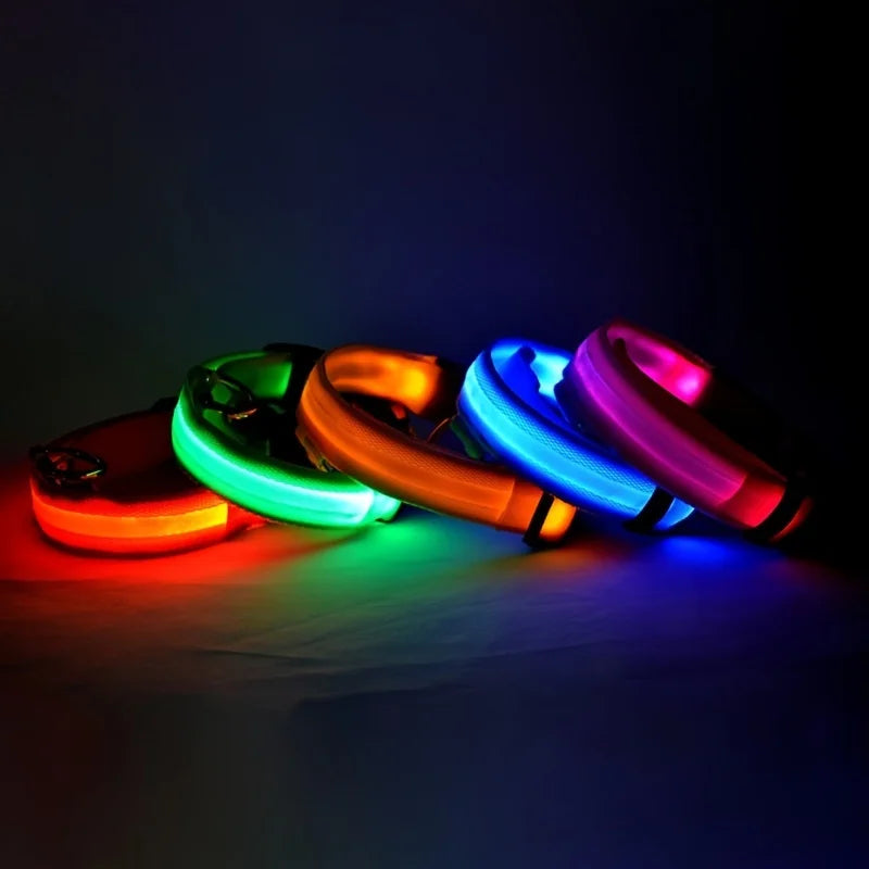LED Light Up Dog Leash Nylon – Glow in the Dark Reflective Safety Pet Leash for Night Walking (All Sizes)
