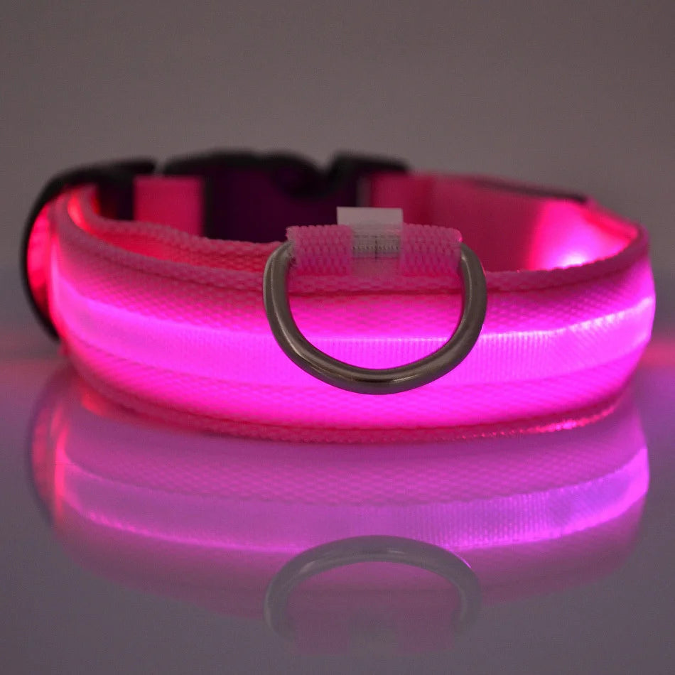 LED Light Up Dog Leash Nylon – Glow in the Dark Reflective Safety Pet Leash for Night Walking (All Sizes)