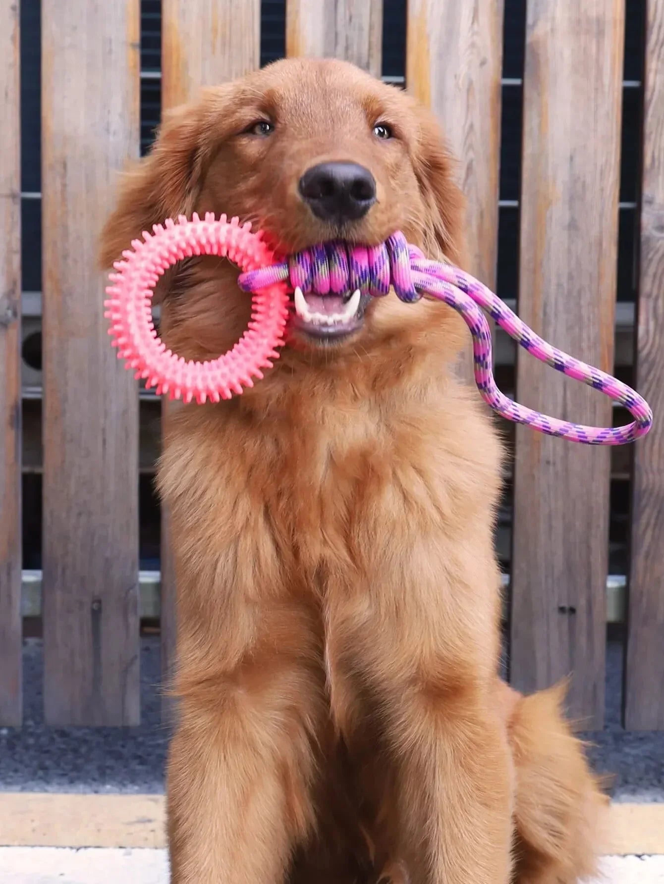 Durable Chew-Resistant Dog Rope Toy – Interactive Colorful Knot Rubber Tug Toy for Dogs