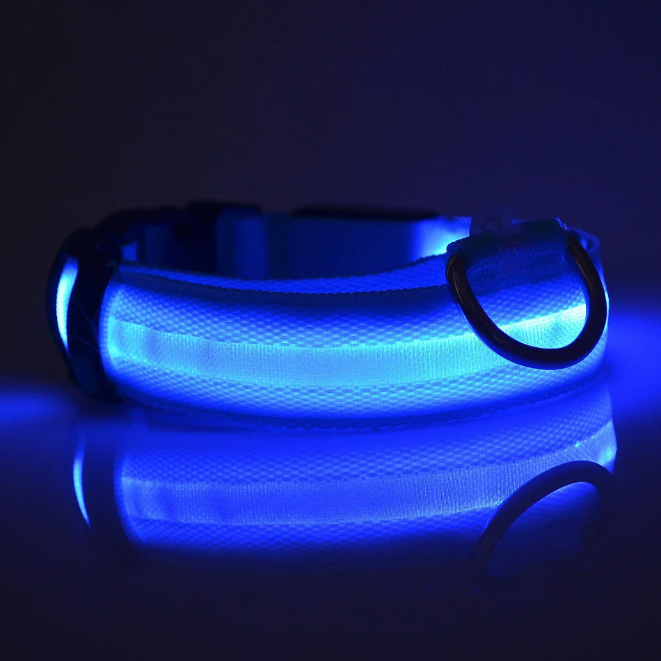LED Light Up Dog Leash Nylon – Glow in the Dark Reflective Safety Pet Leash for Night Walking (All Sizes)