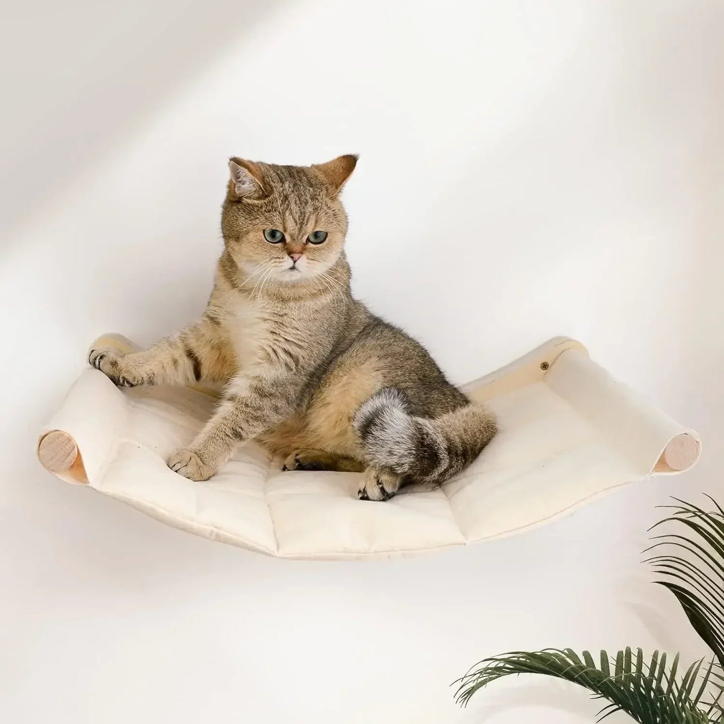 1Piece Cat Tree Cat Climbing Rope for Cat Scratching Claw Grinding tool 150CM- Thick Sisal Rope for Cat Playing and Excising