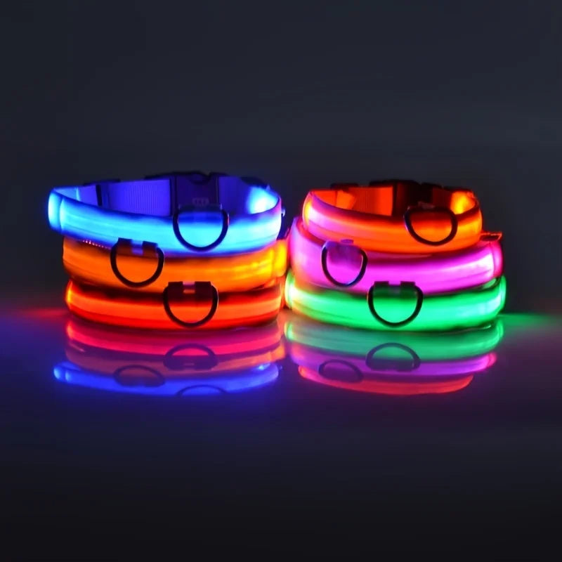 LED Light Up Dog Leash Nylon – Glow in the Dark Reflective Safety Pet Leash for Night Walking (All Sizes)