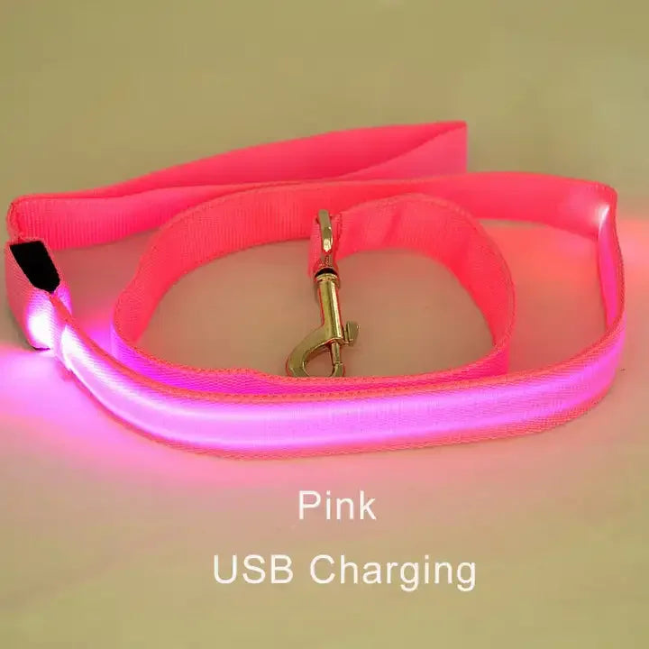 LED Dog Leash – Glowing Safety Leash for Night Walking