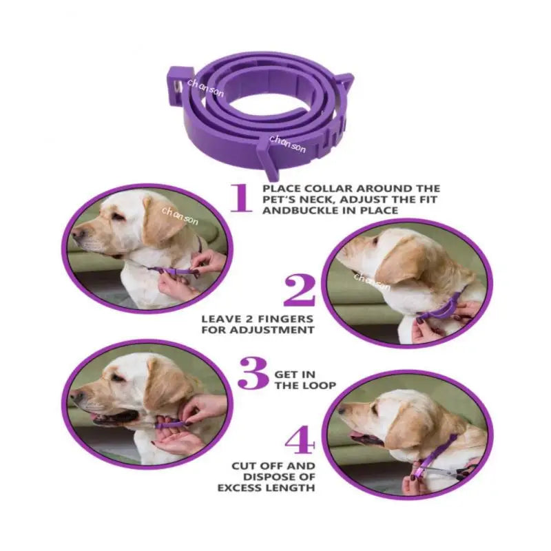 Natural Calming Collar for Cats & Dogs – Long Lasting Anti-Anxiety Solution