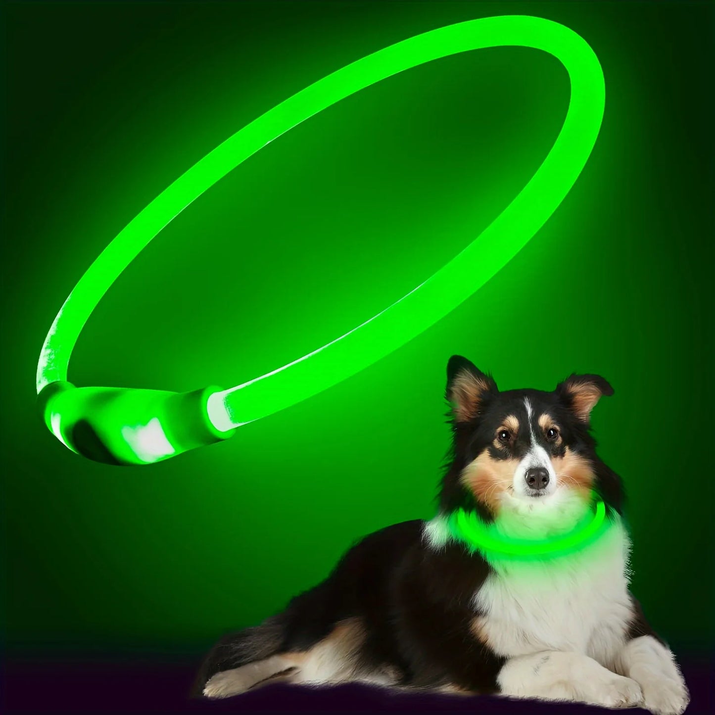 USB Rechargeable LED Dog Collar – Night Safety, Luminous & Anti-Lost Pet Necklace
