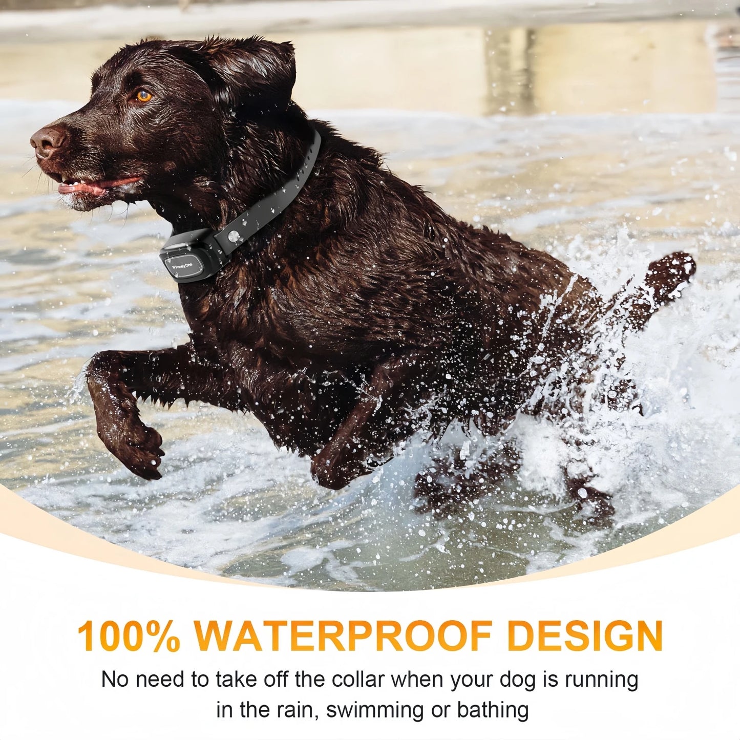 Remote Control Waterproof Dog Training Collar 3300Ft – Shock & Vibration Adjustable Electric Training Collar for Dogs (8–150 lbs)
