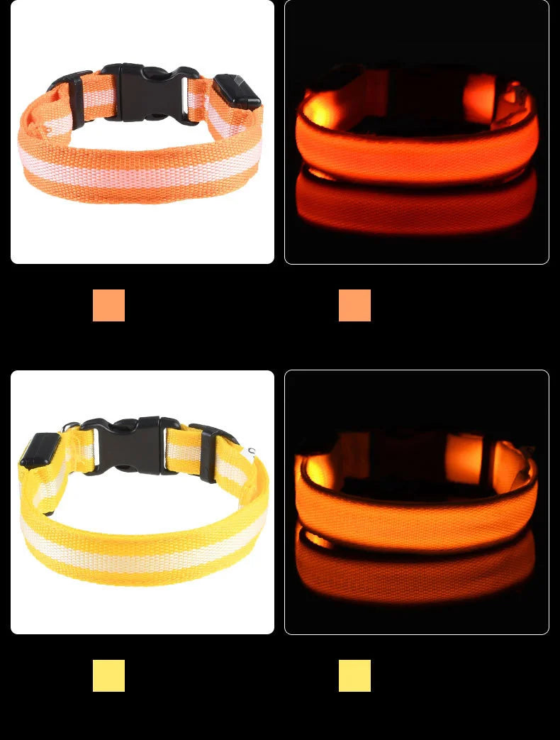 LED Light Up Dog Leash Nylon – Glow in the Dark Reflective Safety Pet Leash for Night Walking (All Sizes)