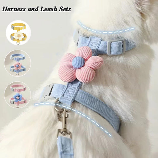 Adjustable Cat & Small Dog Harness and Leash Set – Breathable No-Pull Pet Harness for Walking