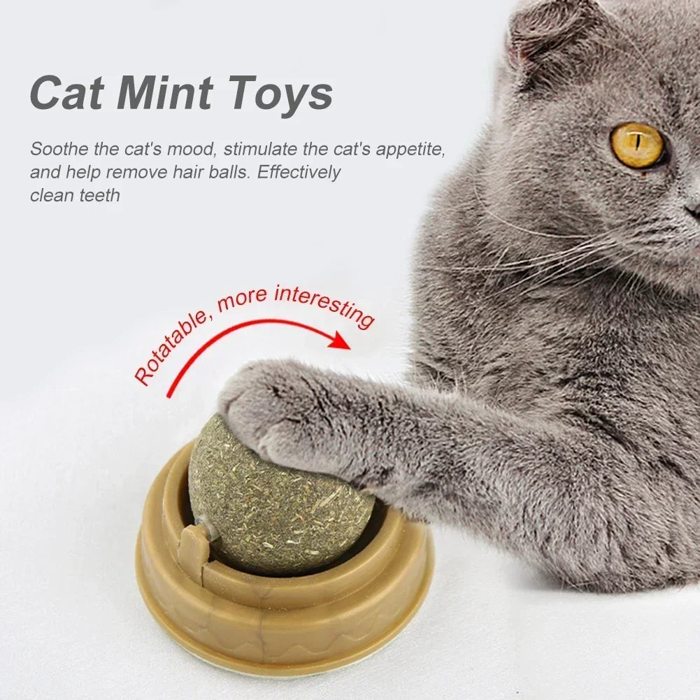 Rotating Catnip Ball Toys for Cats (1–10 Pack) – Edible Natural Cat Mint, Teeth Cleaning & Interactive Chasing Toy