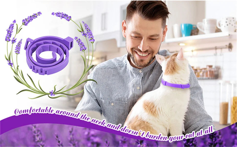 Natural Calming Collar for Cats & Dogs – Long Lasting Anti-Anxiety Solution