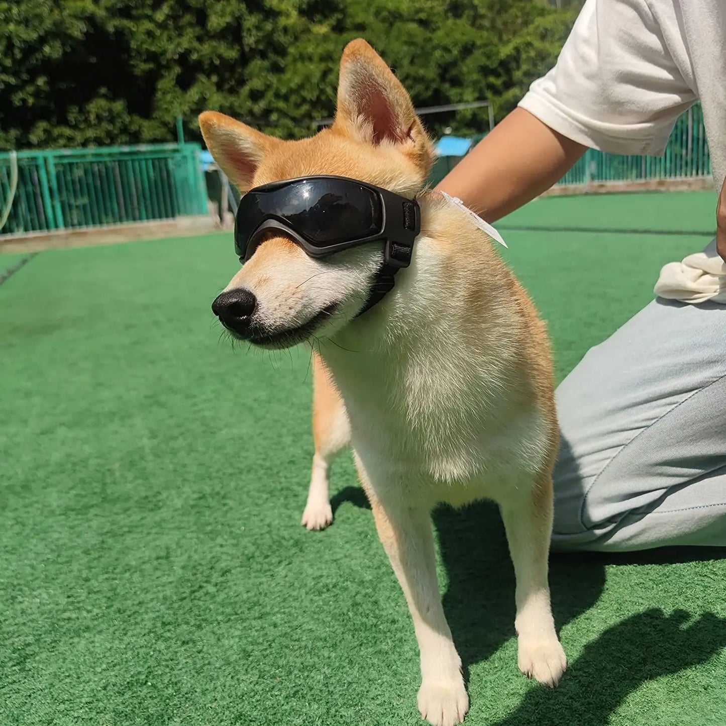 Dog & Cat Sunglasses – UV Protection Goggles for Outdoor Fun