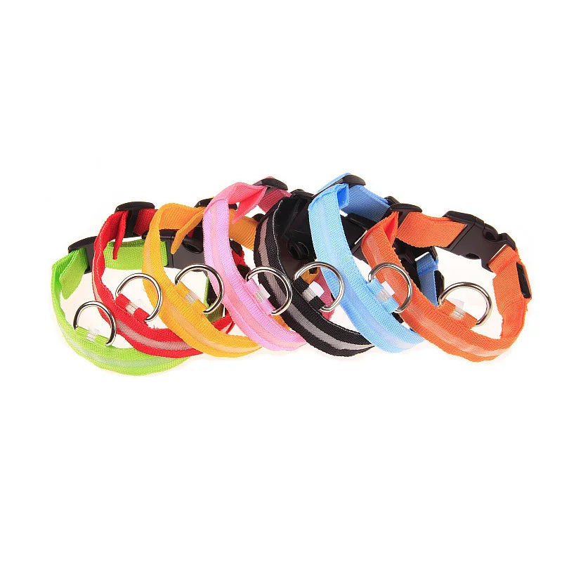 LED Light Up Dog Leash Nylon – Glow in the Dark Reflective Safety Pet Leash for Night Walking (All Sizes)