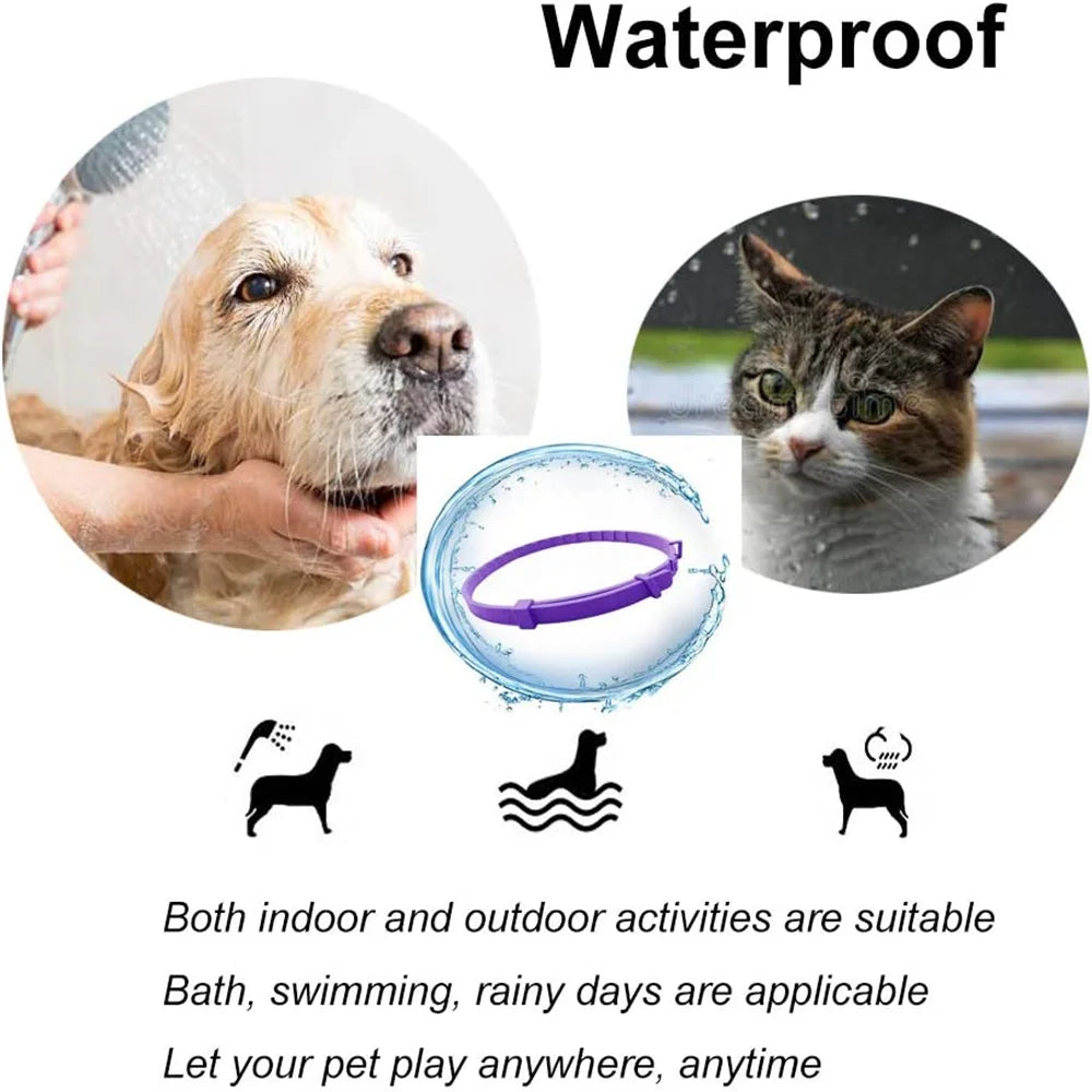 Natural Calming Collar for Cats & Dogs – Long Lasting Anti-Anxiety Solution
