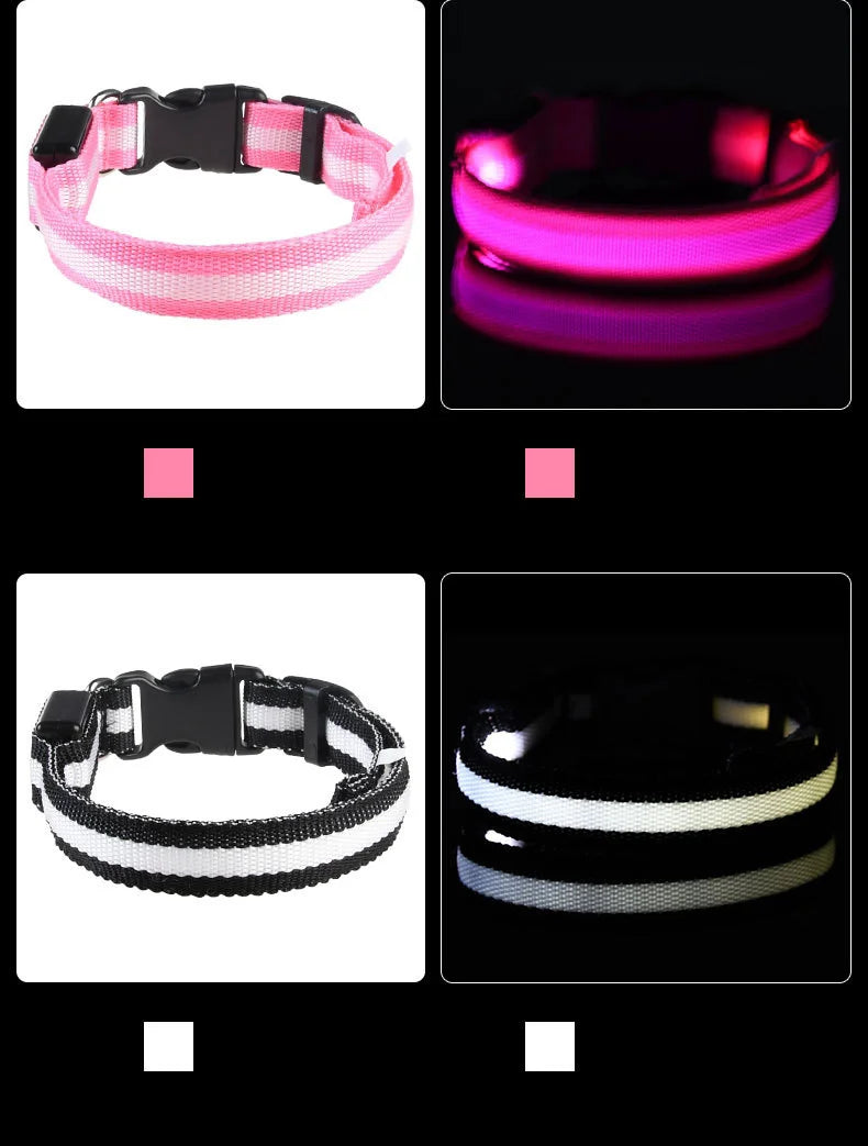 LED Light Up Dog Leash Nylon – Glow in the Dark Reflective Safety Pet Leash for Night Walking (All Sizes)