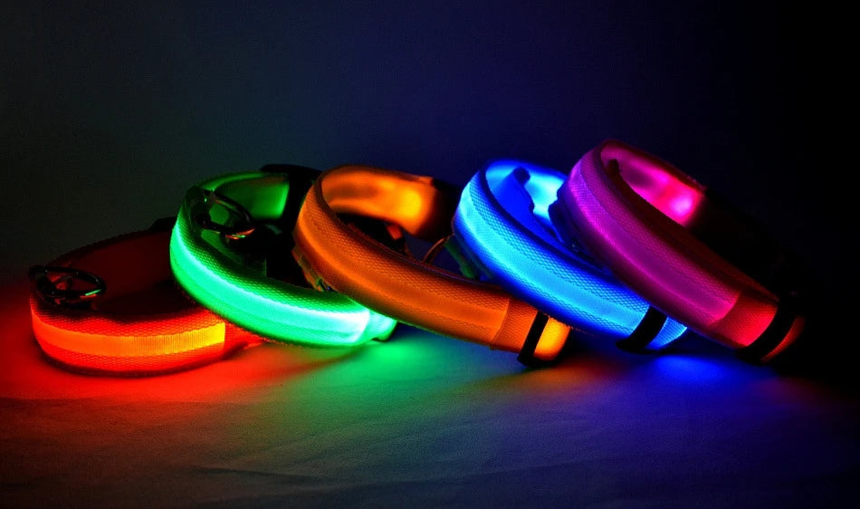 LED Light Up Dog Leash Nylon – Glow in the Dark Reflective Safety Pet Leash for Night Walking (All Sizes)