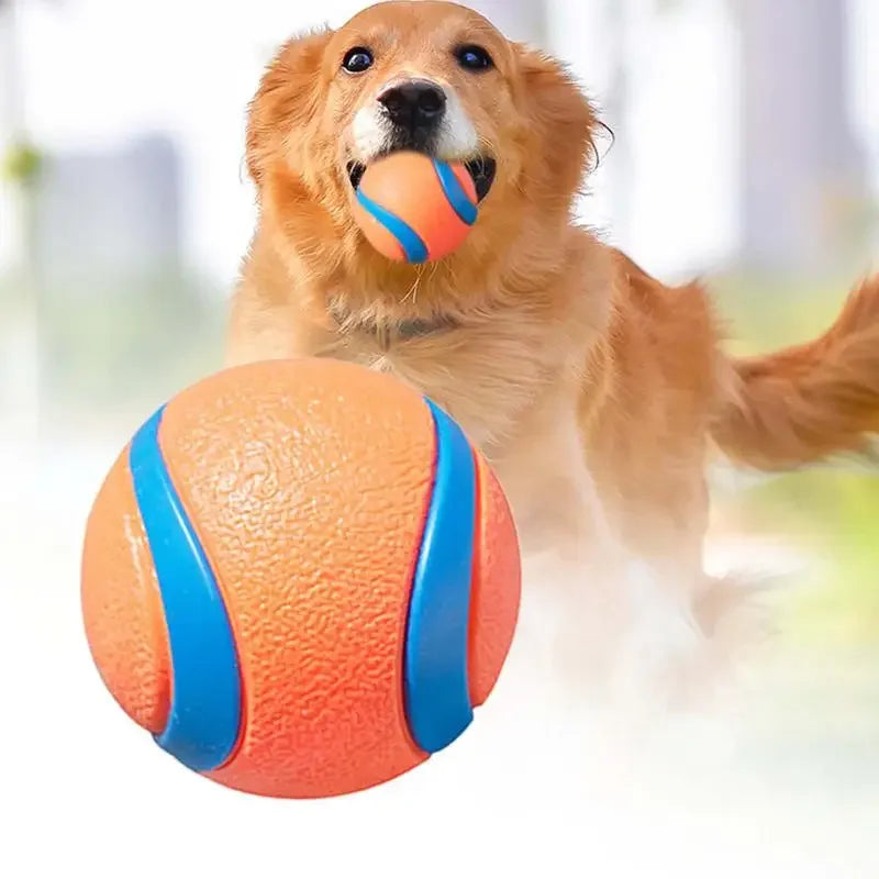 Dog Fetch Ball Toy – Durable Rubber Chew Ball for Small, Medium & Large Dogs